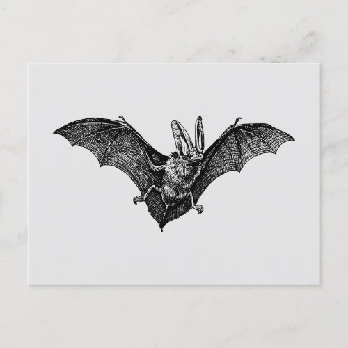 Vintage Bat Gothic Vampire Postcard