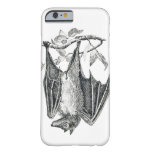Vintage Bat Print Barely There Iphone 6 Case at Zazzle