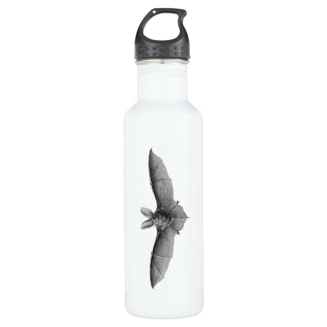 Vintage Bat Stainless Steel Water Bottle (Front)