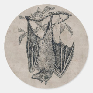 Vintage Bat Sticker