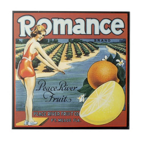 Vintage Bathing Beauty fruit crate label art tile