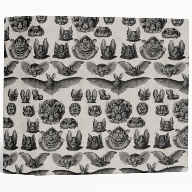 Vintage Bats Binder (Front/Spine)