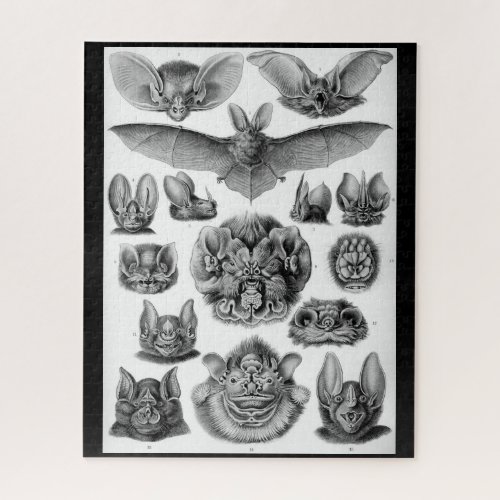 Vintage bats by Ernest Haeckel 525 piece puzzle