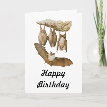 Vintage Bats Illustration  Animal Drawing Card by PatiVintage at Zazzle