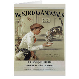 Vintage - Be Kind to Animals - Abandoned Animals, Cards
