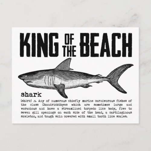 Vintage Beach King Shark Definition Black n White Postcard