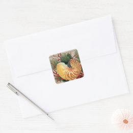 Vintage Beach Seashell & Red Coral Square Sticker