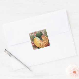 Vintage Beach Seashell & Red Coral Square Sticker