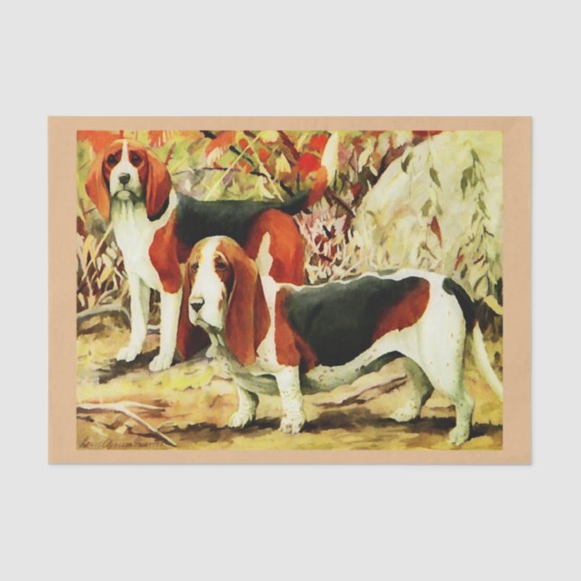 Vintage Beagle and basset  Tissue Paper (Front)