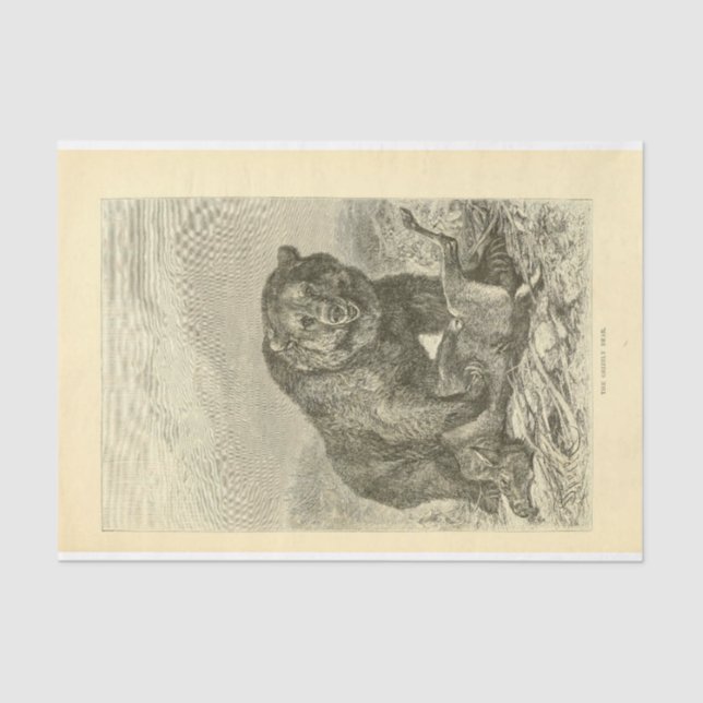 Vintage Bear Ephemera Decoupage Tissue Paper (Front)