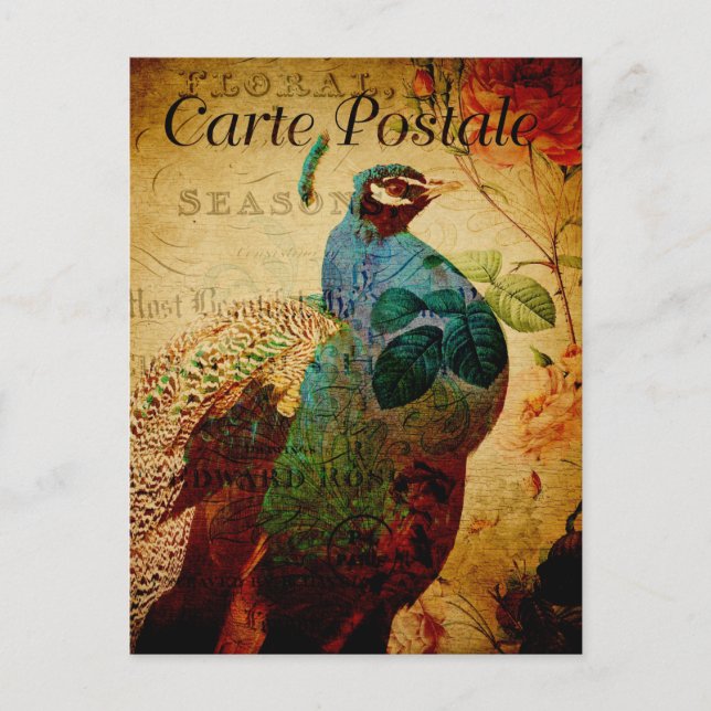 Vintage Beautiful Blue Peacock Floral French Postcard (Front)