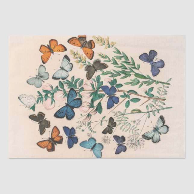 Vintage Beautiful Butterflies Botanical Decoupage Tissue Paper (Front)