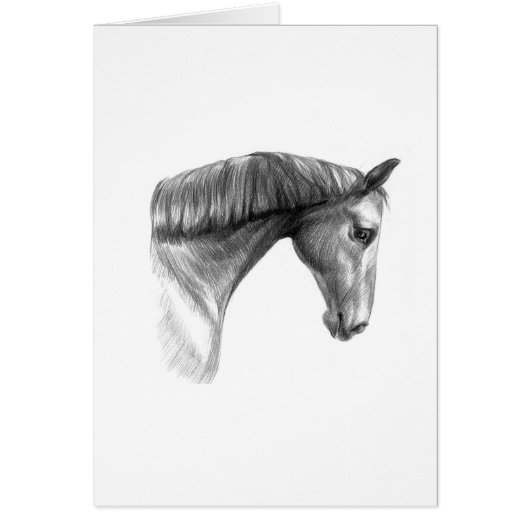 Vintage Beautiful Dark Horse (Front)