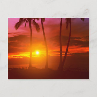 Vintage Beautiful Island Beach Sunset Postcard