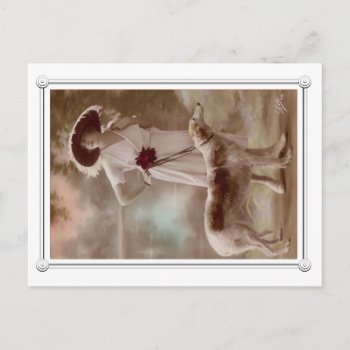 Vintage Beautiful Woman And Dog Postcard by vintagecreations at Zazzle