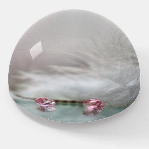 Vintage beauty jewel feather teal pink paperweight