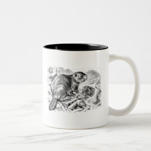 Vintage Beaver Illustration Retro Beavers and Dam Two_Tone Coffee Mug