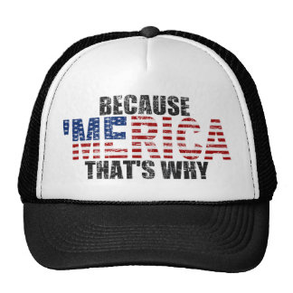 Funny 4th Of July Hats | Zazzle
