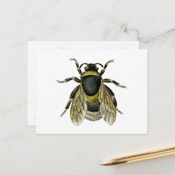 Vintage Bee Black And Yellow Antique Honey Bees Postcard by PNGDesign at Zazzle