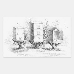 Vintage Bee Boxes Honey Rectangular Sticker