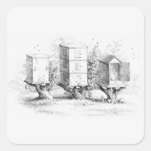 Vintage Bee Boxes Honey Square Sticker