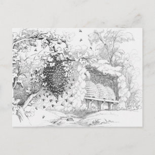 Vintage Bee Hives Postcard