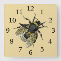 Vintage Bee Illustration Antique Honey Bees Art