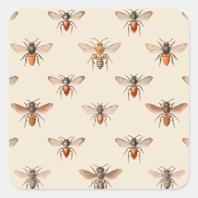 Vintage Bee Illustration Pattern Square Sticker (Front)