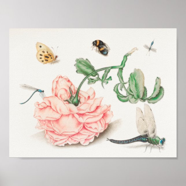 Vintage Bee Illustration Poster (Front)