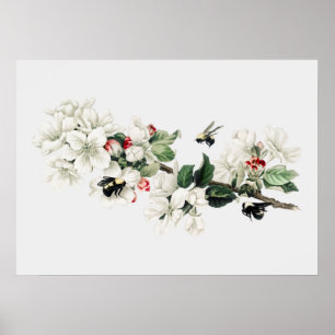 Vintage Bee Illustration Poster