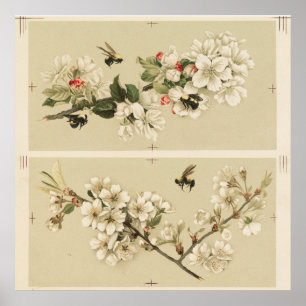 Vintage Bee Illustration Poster