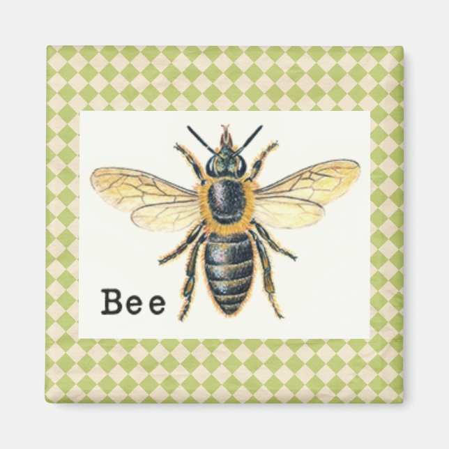 Vintage Bee Primer Magnet (Front)