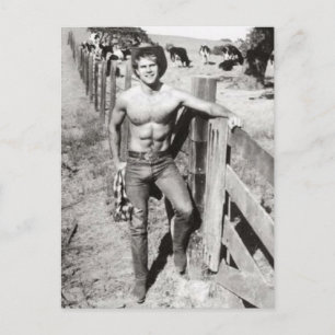 Vintage Beefcake Cowboy Postcard