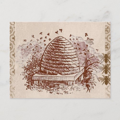 Vintage Beehive Beekeeping Postcard