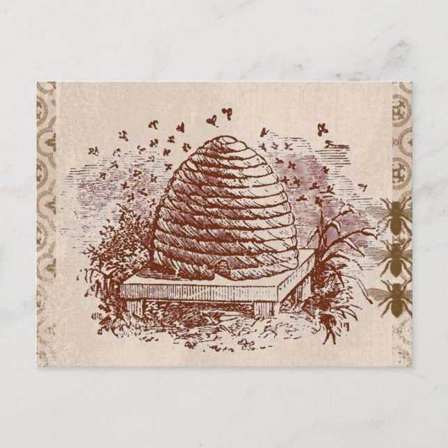 Vintage Beehive Beekeeping Postcard (Front)