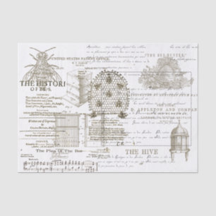 Vintage Beekeeping Apiary Wrap Tissue Paper