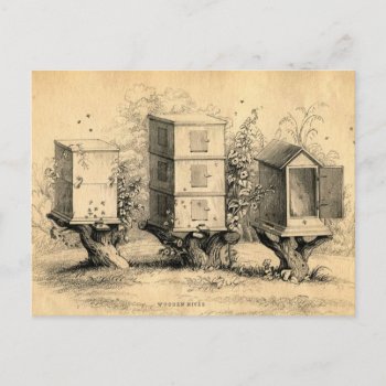 Vintage Beekeeping Beehives Beehive Postcard by Biblioartgifts at Zazzle