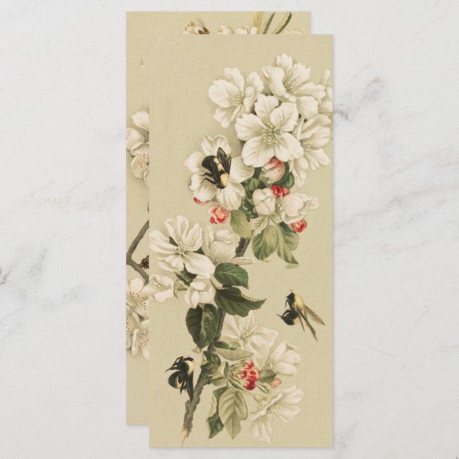 Vintage Bees  (Front/Back)