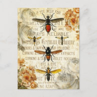 Vintage Bees Insects Postcard