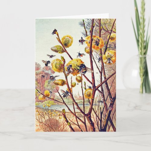 Vintage Bees Insects Spring Willow Blossom Card