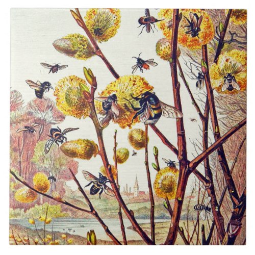 Vintage Bees Insects Spring Willow Blossom Ceramic Tile