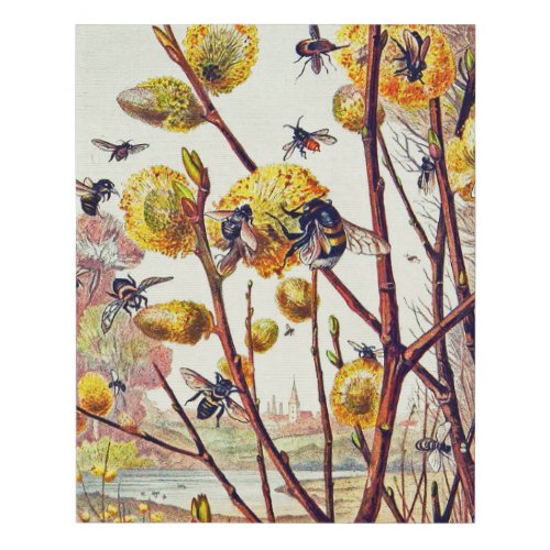 Vintage Bees Insects Spring Willow Blossom  Faux Canvas Print