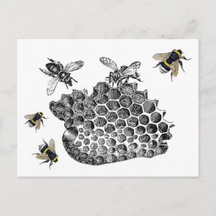 Vintage Bees Postcard