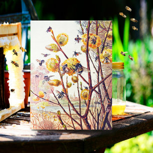 Vintage Bees Spring Willow Blossom Postcard