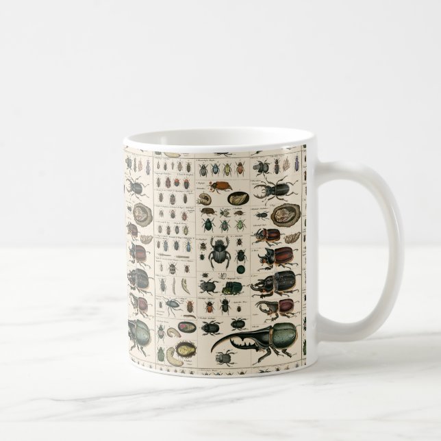 Vintage Beetle Illustration Coffee Mug (Right)