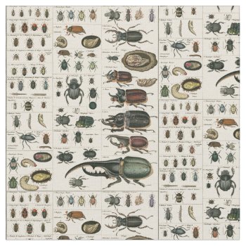 Vintage Beetle Illustration Fabric by ThinxShop at Zazzle