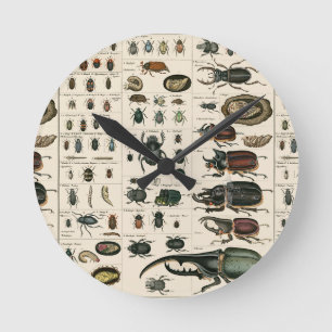 Vintage Beetle Illustration Round Clock