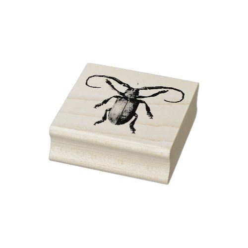 Vintage beetle illustration rubber stamp