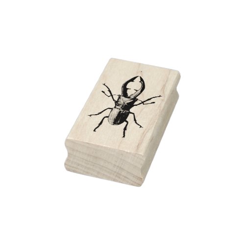 Vintage beetle illustration rubber stamp