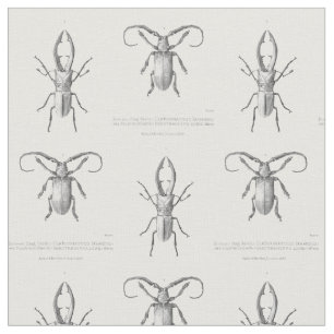 Vintage beetle illustration textile fabric